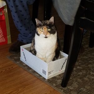 Meet your Posher, Melda